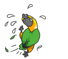 Pionites leucogaster&Black-headed Caique sticker #3978591