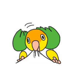 Pionites leucogaster&Black-headed Caique sticker #3978595
