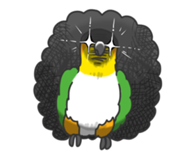 Pionites leucogaster&Black-headed Caique sticker #3978599