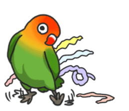 Pionites leucogaster&Black-headed Caique sticker #3978601