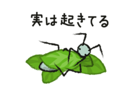 Feeling of the ant. sticker #3978732