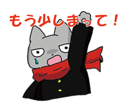 Cheerleaders "NEKO" sticker #3979705