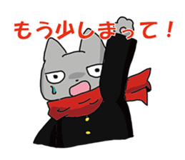 Cheerleaders "NEKO" sticker #3979705