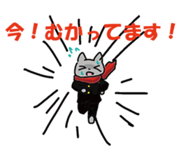 Cheerleaders "NEKO" sticker #3979706