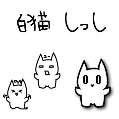 whitecats shisshi