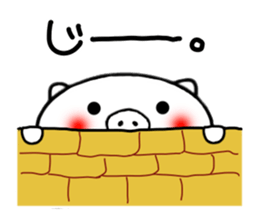 White pig sticker 1 sticker #3982507