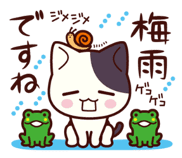 Tabby cat / Nyanko Spring and summer sticker #3986411
