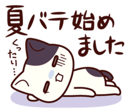 Tabby cat / Nyanko Spring and summer sticker #3986426