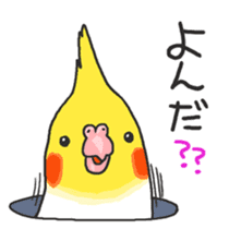 Happy days together with MARU 3 sticker #3986751