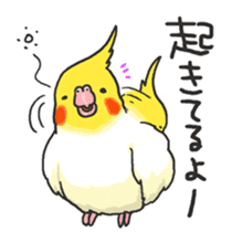 Happy days together with MARU 3 sticker #3986752