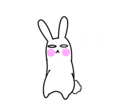 Straight fact rabbit sticker #3988184