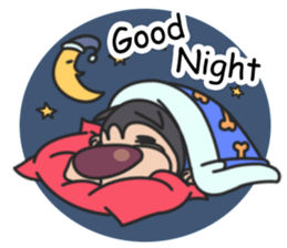 SHIBA.HUS sticker #3988432