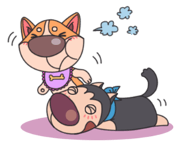 SHIBA.HUS sticker #3988458