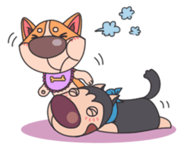 SHIBA.HUS sticker #3988458