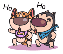 SHIBA.HUS sticker #3988462