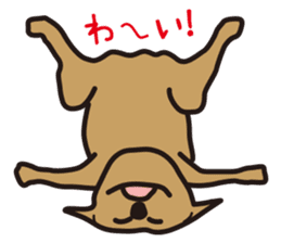 Dog if Bute sticker #3989128