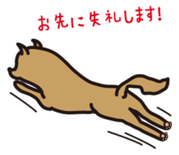 Dog if Bute sticker #3989130