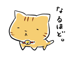 daily life of the  tiger cat sticker #3989877