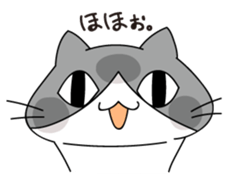 Free Cat Sticker sticker #3990093