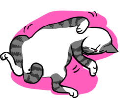 ME(ENIKKIMAN)&CAT sticker #3990957