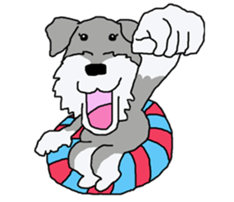 egoistic girl. model Schnauzer sticker #3991031