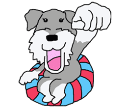 egoistic girl. model Schnauzer sticker #3991031