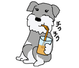 egoistic girl. model Schnauzer sticker #3991032