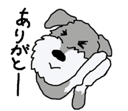 egoistic girl. model Schnauzer sticker #3991033