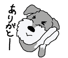 egoistic girl. model Schnauzer sticker #3991033