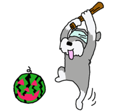 egoistic girl. model Schnauzer sticker #3991035