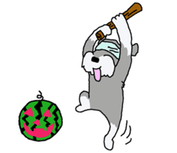 egoistic girl. model Schnauzer sticker #3991035