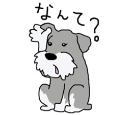 egoistic girl. model Schnauzer sticker #3991038