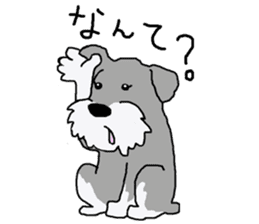 egoistic girl. model Schnauzer sticker #3991038