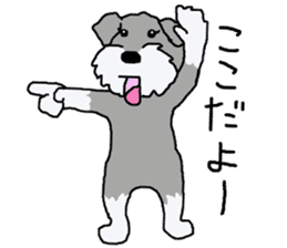 egoistic girl. model Schnauzer sticker #3991044