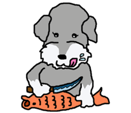 egoistic girl. model Schnauzer sticker #3991045