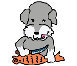 egoistic girl. model Schnauzer sticker #3991045