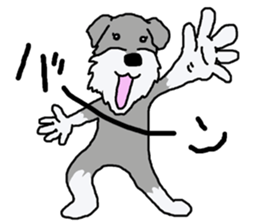 egoistic girl. model Schnauzer sticker #3991046