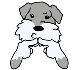 egoistic girl. model Schnauzer sticker #3991047