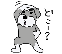 egoistic girl. model Schnauzer sticker #3991048