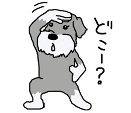 egoistic girl. model Schnauzer sticker #3991048