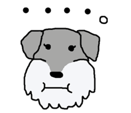 egoistic girl. model Schnauzer sticker #3991051