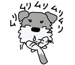 egoistic girl. model Schnauzer sticker #3991056