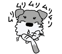 egoistic girl. model Schnauzer sticker #3991056