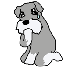 egoistic girl. model Schnauzer sticker #3991057