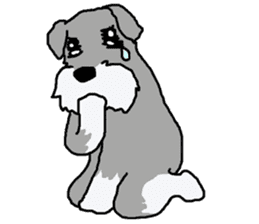 egoistic girl. model Schnauzer sticker #3991057