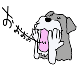 egoistic girl. model Schnauzer sticker #3991058