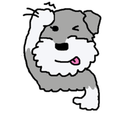 egoistic girl. model Schnauzer sticker #3991065