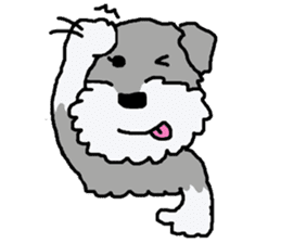 egoistic girl. model Schnauzer sticker #3991065