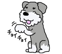 egoistic girl. model Schnauzer sticker #3991066