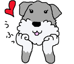 egoistic girl. model Schnauzer sticker #3991069